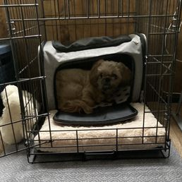 This is the carry case she was kept in during labor at Affiliated Vet. This is the carry case she was kept in during labor at Affiliated Vet.