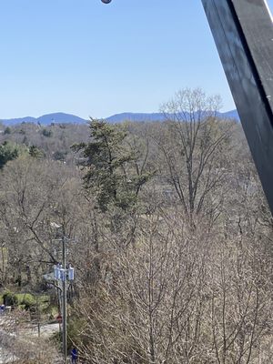 Asheville Treetops Adventure Park by null