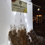 Photo of Californiacrisps