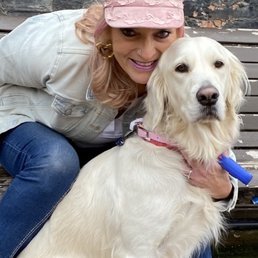 Sally...my English Cream Golden Retriever. Nice and clean. Sally...my English Cream Golden Retriever. Nice and clean.