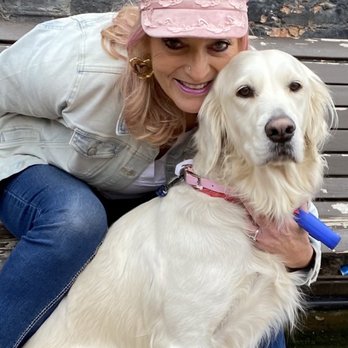 Incredible Pets - Sally...my English Cream Golden Retriever. Nice and clean. - Pet Stores Near Me - Auburn, California Incredible Pets - Sally...my English Cream Golden Retriever. Nice and clean. - Pet Stores Near Me - Auburn, California