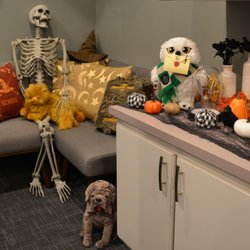 Greene Endodontics - It's getting spooky at Greene Endodontics with Fall inspired Harry Potter decor!