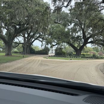 Boone Hall Plantation - Driving up - Venues & Event Spaces Near Me - Mount Pleasant, South Carolina
