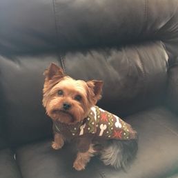 Happy Pup Thanks, Professional Dog Groomer Happy Pup Thanks, Professional Dog Groomer