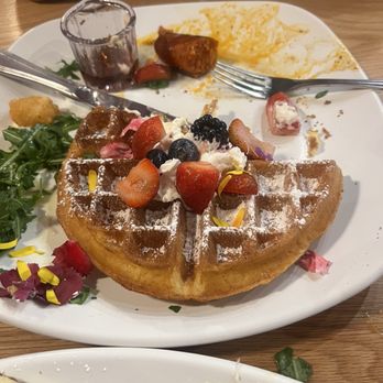Bluberry Social - What we didn't eat food wasn't hot came out fast - Breakfast & Brunch Near Me - Irvine, California