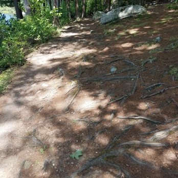Burr Pond State Park - let's get to the root of the problem - Parks Near Me - Torrington, Connecticut