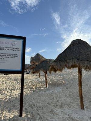 Dolphins Beach by null