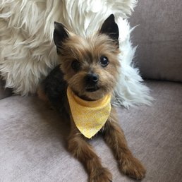 Freshly cut Freshly cut