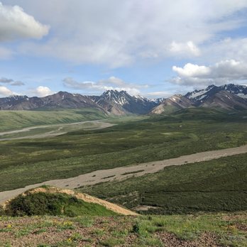 Denali Tundra Wilderness Bus Tour - Bus Tours Near Me - Denali, Alaska