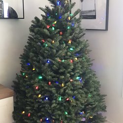 Willie D's Christmas Trees