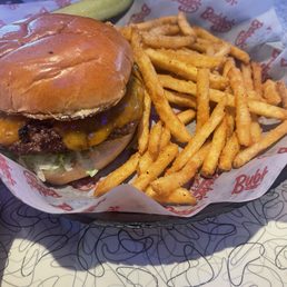Cheeseburger and amazing seasoned fries