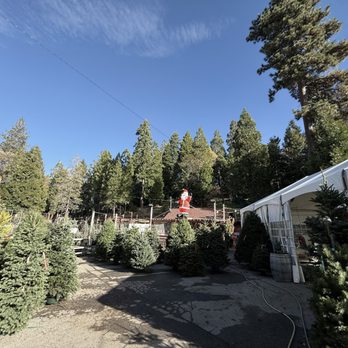 Four Seasons Garden Center - Nurseries & Gardening Near Me - Lake Arrowhead, California