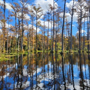 Cypress Gardens - Parks Near Me - Moncks Corner, South Carolina Cypress Gardens - Parks Near Me - Moncks Corner, South Carolina