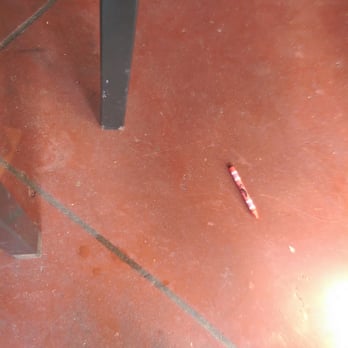 Chili's - Disgusting floors and tables - American Near Me - Alexandria, Louisiana