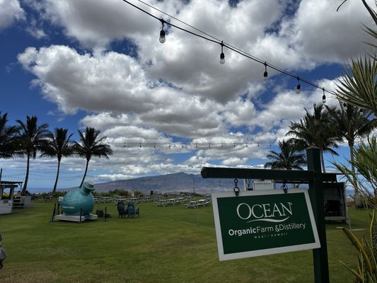 Ocean Vodka Organic Farm and Distillery by null