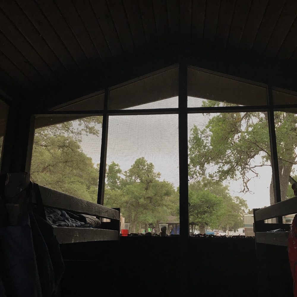 From inside of the enclosure that had bunk beds. From inside of the enclosure that had bunk beds.