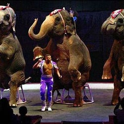 UniverSoul Circus
