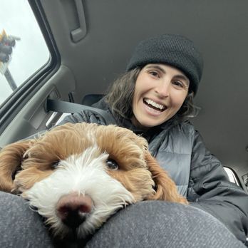 Oh So Fluffy Doodles - Pet Breeders Near Me