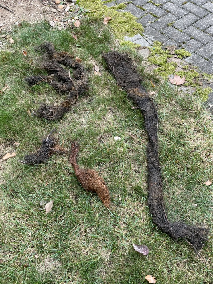 Slide of Evenflow Sewer & Drain Service