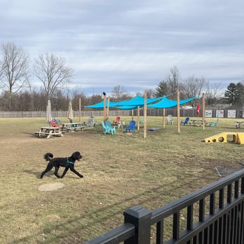 The Bark Park & Patio - Dog Parks Near Me - Florence, Kentucky