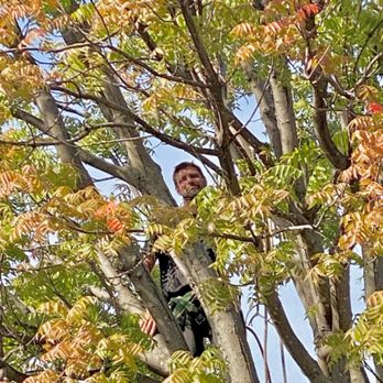 XTreem Tree Services - Our arborist pay attention to every detail! (Prairie Scott) - Tree Services Near Me XTreem Tree Services - Our arborist pay attention to every detail! (Prairie Scott) - Tree Services Near Me