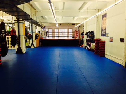 Evolution Muay Thai by null