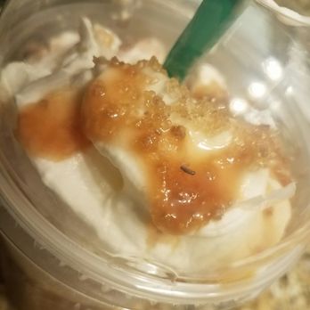 Starbucks - Nasty little bug inside my salted caramel frappe!!! People's check your drink before sipping it!!!! Very disappointed!!!! - Coffee & Tea Near Me - Mililani, Hawaii Starbucks - Nasty little bug inside my salted caramel frappe!!! People's check your drink before sipping it!!!! Very disappointed!!!! - Coffee & Tea Near Me - Mililani, Hawaii