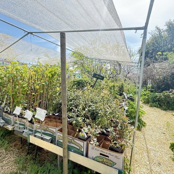 Spiral Gardens Community Food Security Project - Nurseries & Gardening Near Me - Berkeley, California Spiral Gardens Community Food Security Project - Nurseries & Gardening Near Me - Berkeley, California