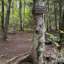 Great Brook Trail