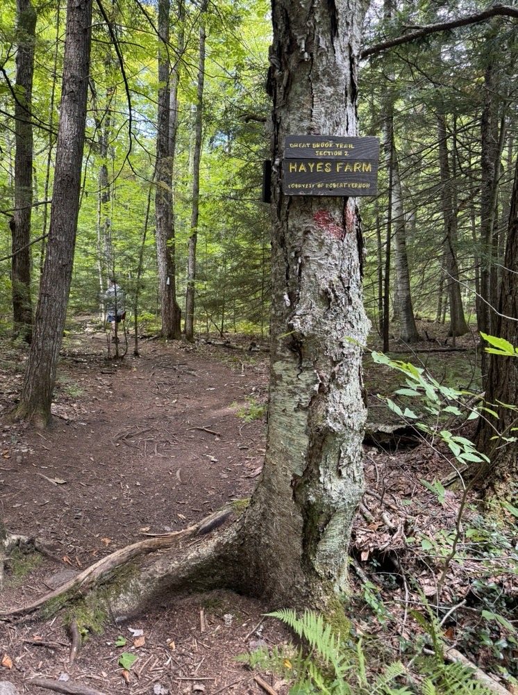 Social spots from Great Brook Trail