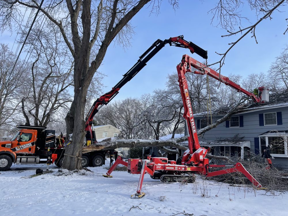 Extreme Tree and Landscape - tree service in Bloomfield, NY