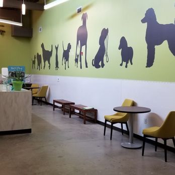 SICSA Animal Adoption Center - Love the murals. - Animal Shelters Near Me - Dayton, Ohio