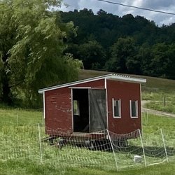 Last Resort Farm - 7/21 sheltered pasture raised hens for eggs