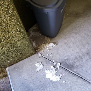 Falling Water Apartments - Rats making mess out of valet trash left in can. - Apartments Near Me - Las Vegas, Nevada