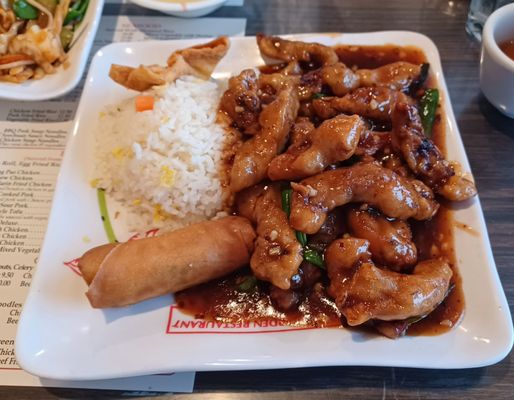 Imperial Garden by null