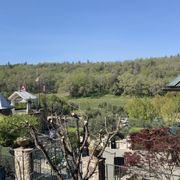 Photo of Francis Ford Coppola Winery - Geyserville, CA, United States. view from the balcony
