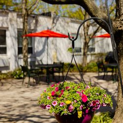 Ross Center For Nursing And Rehabilitation - Our beautiful enclosed courtyard is available for you and your loved one to enjoy at any time.