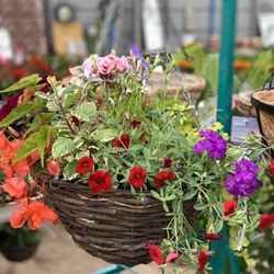 Sidmouth Garden Centre