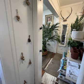 Dirt Bag - Nurseries & Gardening Near Me - Houston, Texas Dirt Bag - Nurseries & Gardening Near Me - Houston, Texas