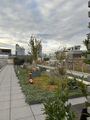 Pod Brooklyn Hotel by null