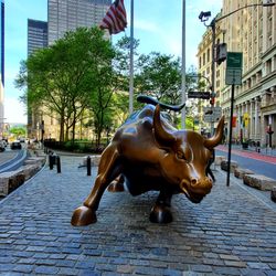 Przewodnik USA - Charging Bull