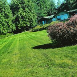 Trulawn Lawn Care Services
