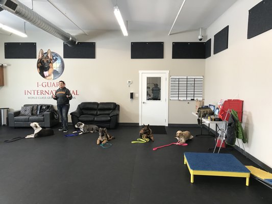K9 Country Club Pet Center