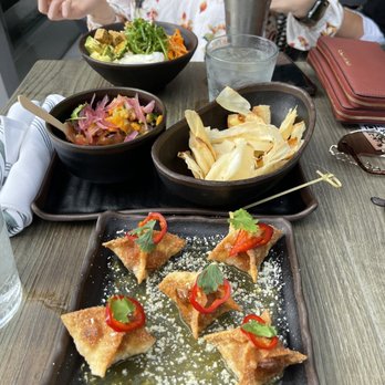 Zanzibar - BBQ Pork Wonton. IMMACULATE! - Tiki Bars Near Me - Austin, Texas Zanzibar - BBQ Pork Wonton. IMMACULATE! - Tiki Bars Near Me - Austin, Texas