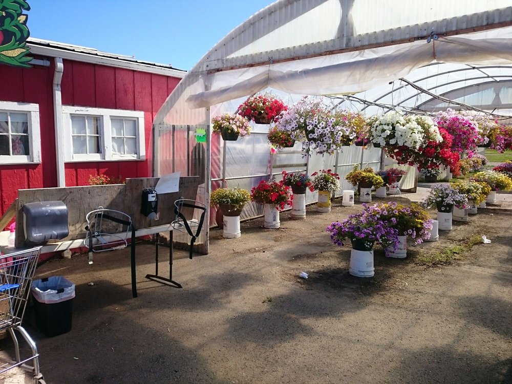 BIZI FARMS Updated June 2024 45 Photos & 62 Reviews 9504 NE