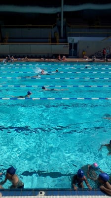 Piscine Georges Vallerey by null