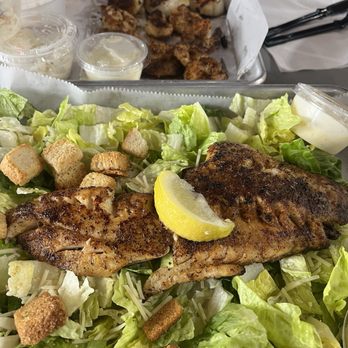 Safe Harbor Seafood - Caesar Salad with Snapper Filet - Seafood Near Me - Jacksonville, Florida Safe Harbor Seafood - Caesar Salad with Snapper Filet - Seafood Near Me - Jacksonville, Florida