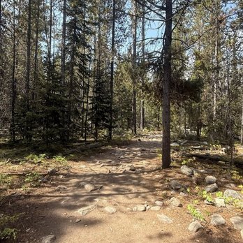 Laurance S Rockefeller Preserve - Hiking trail to the lake - very level - Parks Near Me