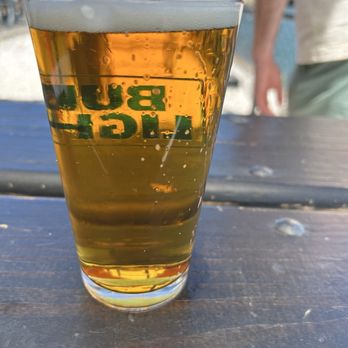 Belle Isle Seafood - Goose island draft in bud light glass - Seafood Near Me - Winthrop, Massachusetts