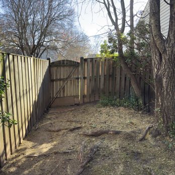 Ventura Landscaping - After - tree was removed FAST and stump was ground. The two remaining trees will be removed by Ventura asap. - Tree Services Near Me